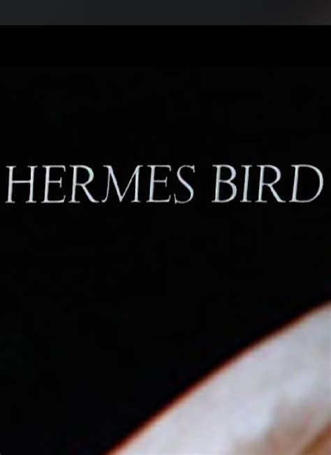 hermes bird 1979 full|hermes bird 1979 movie.